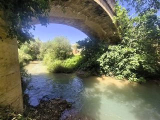 Finca rústica en Loja. Venta de finca rústica en loja