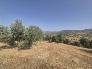 Finca rústica en Loja. Venta de finca rústica de 14.200 m en loja