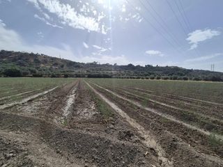 Terreno residencial en Loja. Venta de terreno cultivable en loja