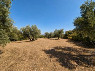 Finca rústica en Loja. Magnífica finca rústica de 25.000 m en la dehesa de los montes