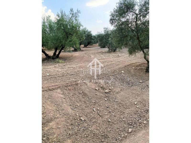 Foto 0615f45d-0031-4595-95e0-72ba4b2d62b2. Landgut in Loja