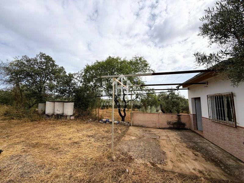 Foto 348633fa-5cc4-48fc-a2a2-b37d4b316ae0. Landgut in Loja