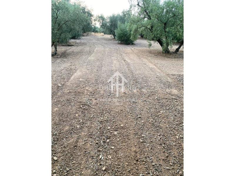 Foto 5971de4d-ebc5-49e0-9dab-41ad794bb627. Landgut in Loja