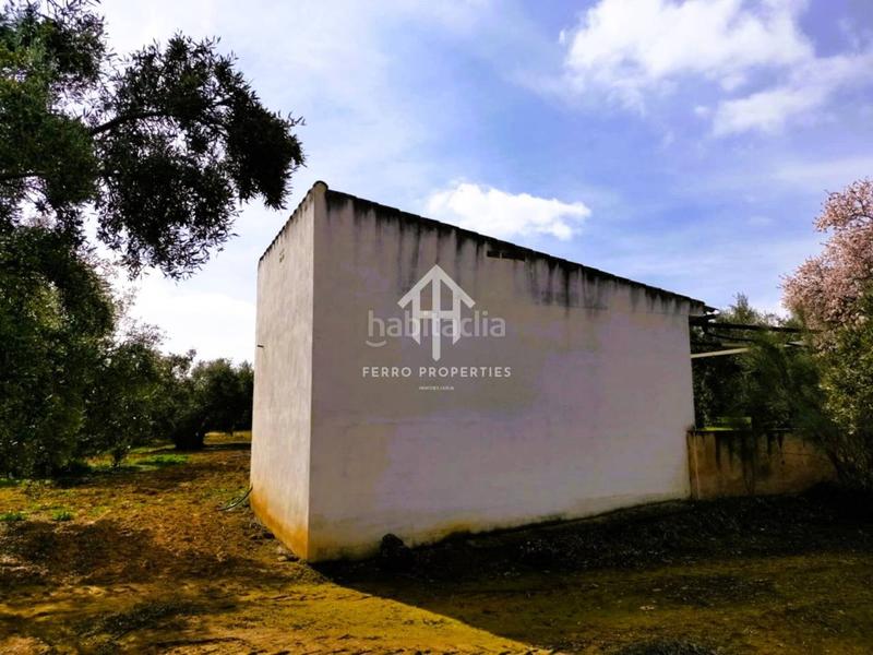 Foto 5f56c5d8-451e-40e9-8139-05b03fd1046c. Landgut in Loja