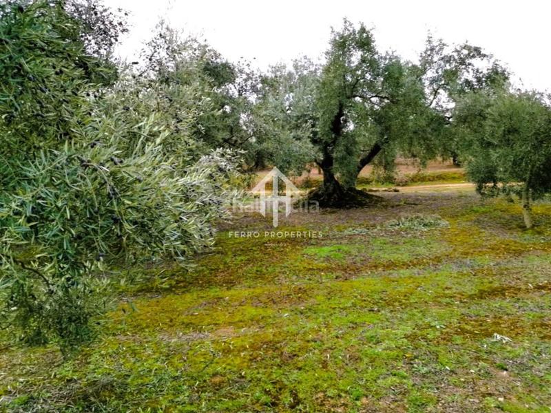 Foto 7384e110-f552-47e8-9b33-7c84ee65741f. Landgut in Loja