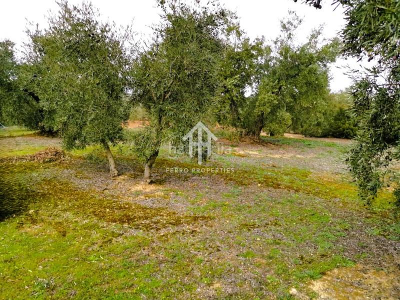 Foto 75367bd6-1639-471f-8585-9b3672ed8b37. Landgut in Loja