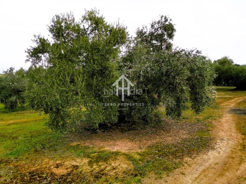 Foto 78d66a9c-0da0-4a0d-9690-5e13b88dbecf. Landgut in Loja