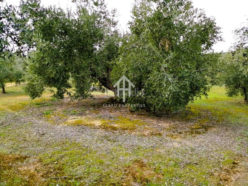 Foto 7afe0fbc-765d-4852-97cc-9295c4678ff4. Landgut in Loja