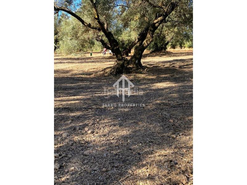 Foto b0b09e50-07a5-4d0e-a072-8d088825382b. Landgut in Loja