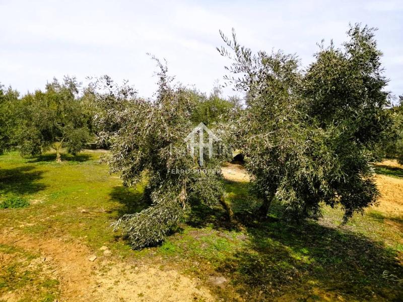 Foto c19ae552-bff8-4121-9621-25f65726ff12. Landgut in Loja