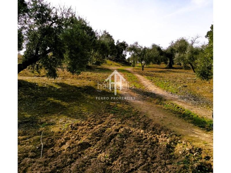 Foto c2284a31-43f1-49f9-8c44-fdb4d39fbc9a. Landgut in Loja