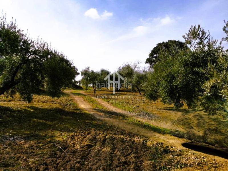 Foto e1e6357a-fab4-4544-bb26-7a5c4bf57451. Landgut in Loja