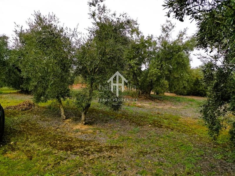 Foto e985e4cd-5f0a-4d23-8762-a58e82dc8757. Landgut in Loja