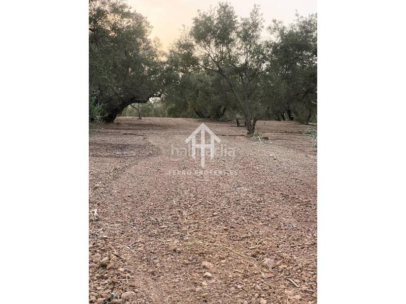 Foto f05752f7-273e-4770-89b1-62d9bb1eb59c. Landgut in Loja