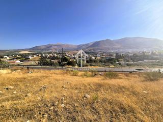 Terreny residencial a Loja. Venta de finca rústica en loja