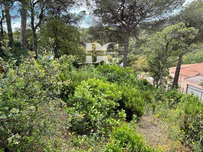 Foto 1f997439-fe10-47c8-843f-e5f76677deaa. Terrain résidentiel dans Lloret Verd - Els Pinars Lloret de Mar