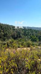 Finca rstica  Poligono 2 parcela 79 can miralbell. Parcela en venta en tordera