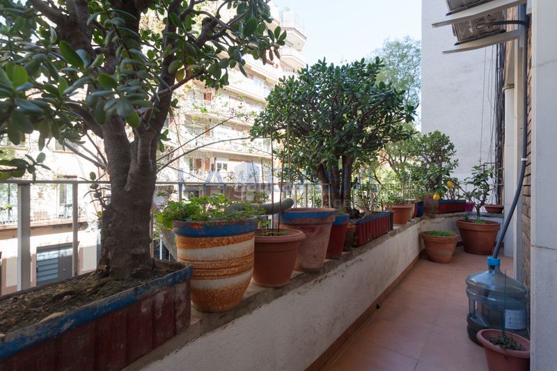 Foto 656d4423-13bf-4d22-a293-982b5db263ae. Pis a El Camp de l´Arpa del Clot Barcelona