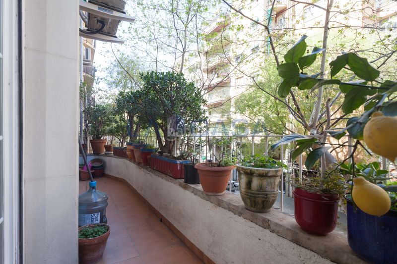 Foto 7ce92892-6deb-478c-a5f3-38b451a5b8b3. Pis a El Camp de l´Arpa del Clot Barcelona