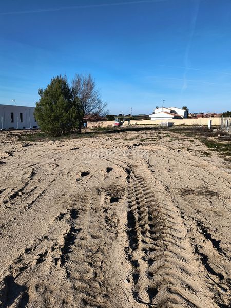 Foto 55ef50ce-6549-4e77-b696-6f9f2d848f49. Terreny residencial a Carranque