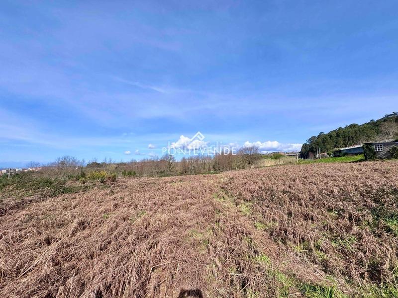 Foto ff205f8e-3956-4cf3-9764-30d298f21fb8. Propriété dans Marín