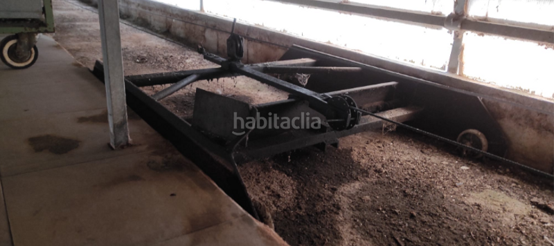 Foto 5edc549a-a90c-4ec1-bb0f-1b397b96a2da. Casa  con terreno y naves, zona en Alatoz