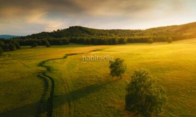 Foto 0c02de67-50cf-4437-a8c1-31cd8be69427. Wohngrundstück in Feria Albacete