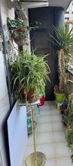 Pis a Centro. Piso en venta en villacerradacentro