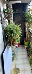 Appartement à Centro. Piso en venta en villacerradacentro