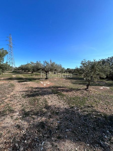 Foto 20ea45b6-d8b5-4d7d-b20d-c8ad3cac63a2. Masía finca rústica con vivienda. en L´Ametlla de Mar Ametlla de Mar (L´)