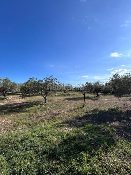 Foto 4cac97b4-bcac-407a-a3f9-9c558aaa91b2. Masía finca rústica con vivienda. en L´Ametlla de Mar Ametlla de Mar (L´)