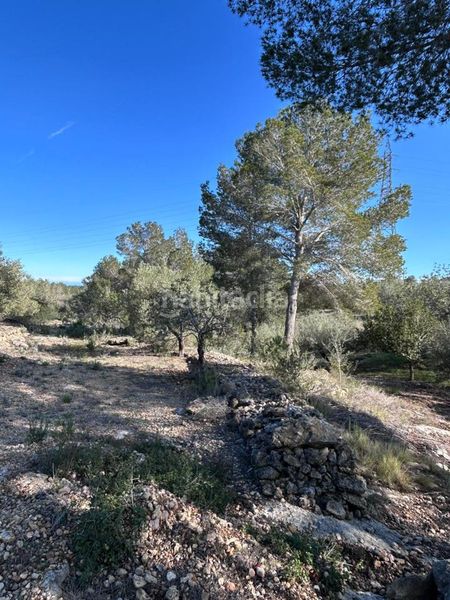 Foto 586e4a73-3805-4a05-acdc-bd70f9ff6db0. Masía finca rústica con vivienda. en L´Ametlla de Mar Ametlla de Mar (L´)