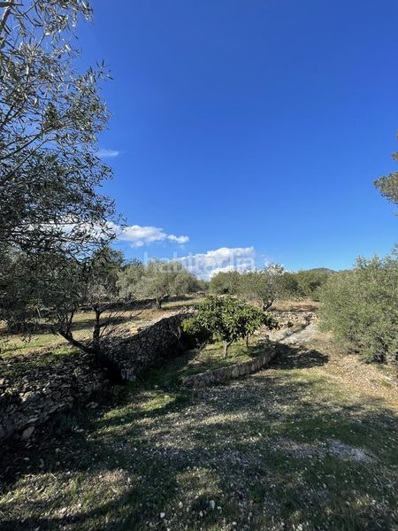 Foto 73e33da9-efe5-4dbe-a785-d7eefc1f2e17. Masía finca rústica con vivienda. en L´Ametlla de Mar Ametlla de Mar (L´)