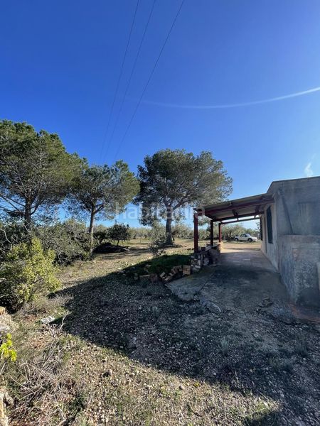 Foto 861b34ec-b407-479b-b266-fb8121a55d17. Masía finca rústica con vivienda. en L´Ametlla de Mar Ametlla de Mar (L´)