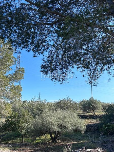 Foto af76ba4c-b08f-45bf-96ee-f8bef2b2540f. Masía finca rústica con vivienda. en L´Ametlla de Mar Ametlla de Mar (L´)