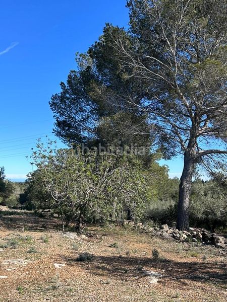Foto b68d3ce9-58b2-4f45-b7c6-28476ae03fb2. Masía finca rústica con vivienda. en L´Ametlla de Mar Ametlla de Mar (L´)