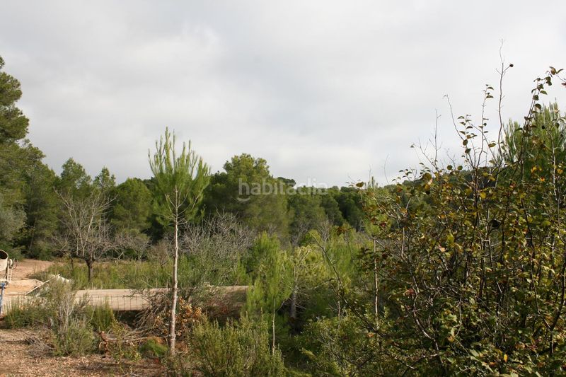 Foto bf653656-b667-463c-97d7-641ac7005f3c. Masia a Perelló (El)