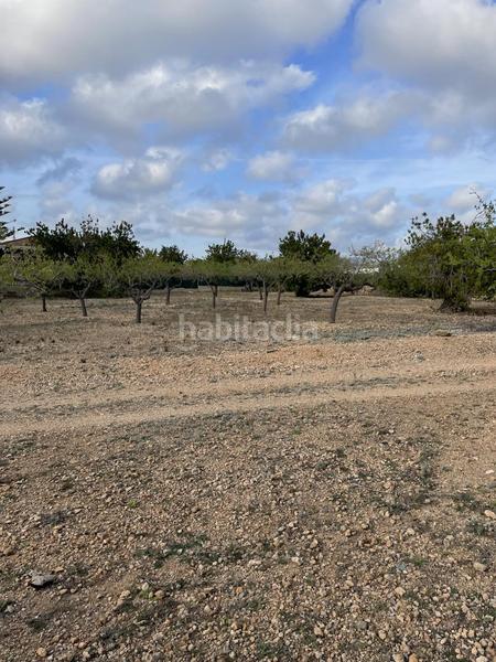 Foto 5f7e6138-4f5f-411e-ae2b-f606358637e5. Mas dans L´Ametlla de Mar Ametlla de Mar (L´)