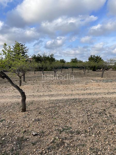 Foto d5a27a9c-4a61-4c28-812d-7f0de82b308e. Mas dans L´Ametlla de Mar Ametlla de Mar (L´)
