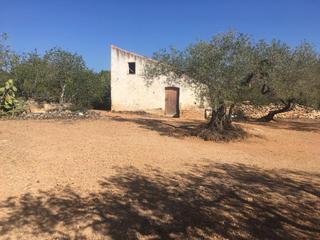 Terreno residencial  Estany podrit. Finca rústica de 9 hectáreas de olivos.