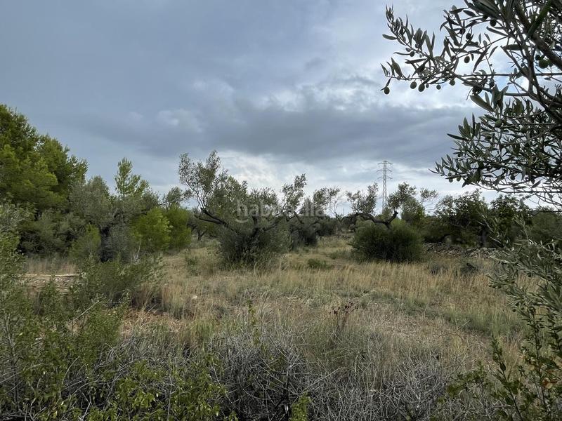 Foto 096f8ce4-cd32-4e6f-a7ab-e8722a35c129. Masia a Perelló (El)