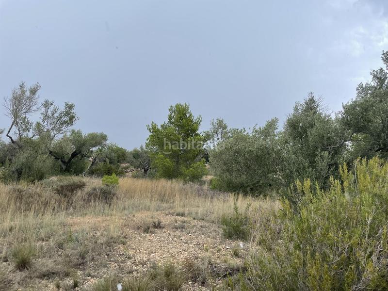 Foto 419d9f81-9de0-4aa2-b815-9809fa7113e9. Masia a Perelló (El)