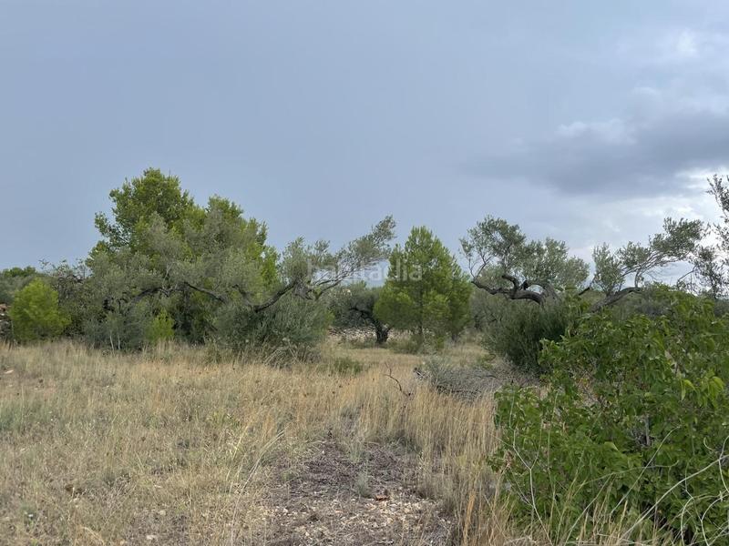 Foto 45cce4e3-bc4a-4bd9-9524-1e706992b325. Masia a Perelló (El)