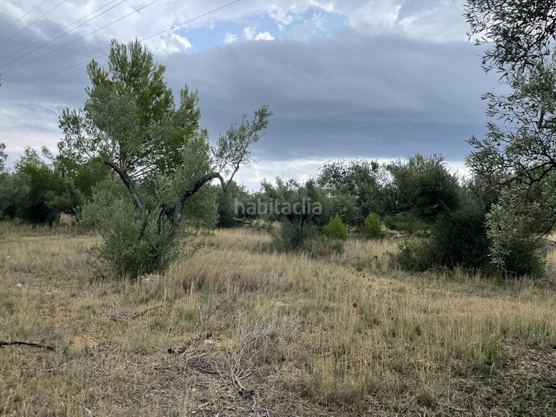 Foto 7d077214-0a27-40bd-b2fa-6a5078b32fb5. Masia a Perelló (El)