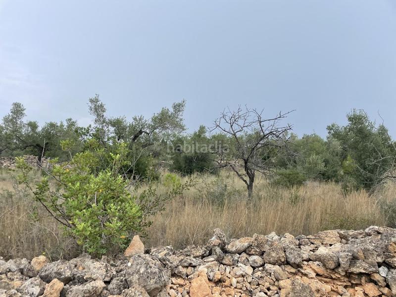 Foto 938568d4-d4a3-4c0b-b119-401019c18fe8. Masia a Perelló (El)