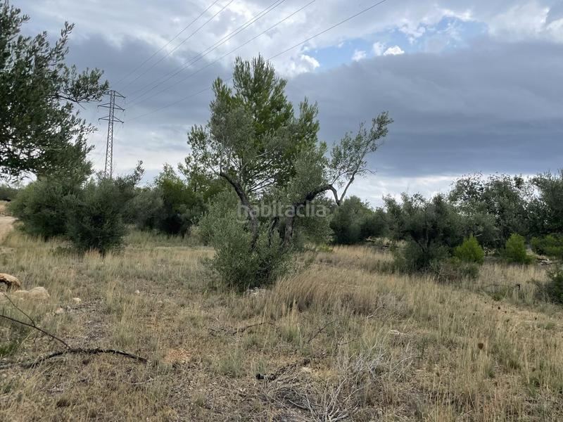 Foto 9587235e-537a-4f1a-b45b-8d420ba0718d. Masia a Perelló (El)