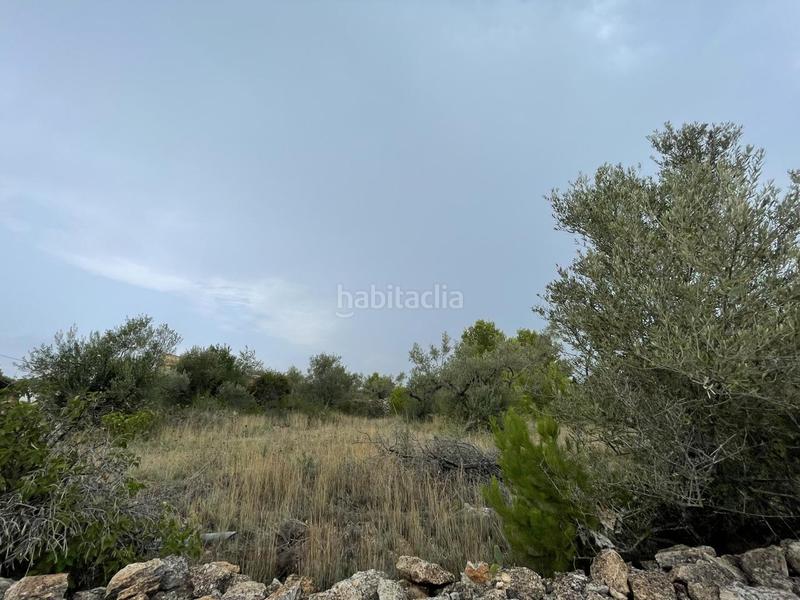 Foto a44dc1d1-cf79-4a20-95be-fcbeba93d368. Masia a Perelló (El)