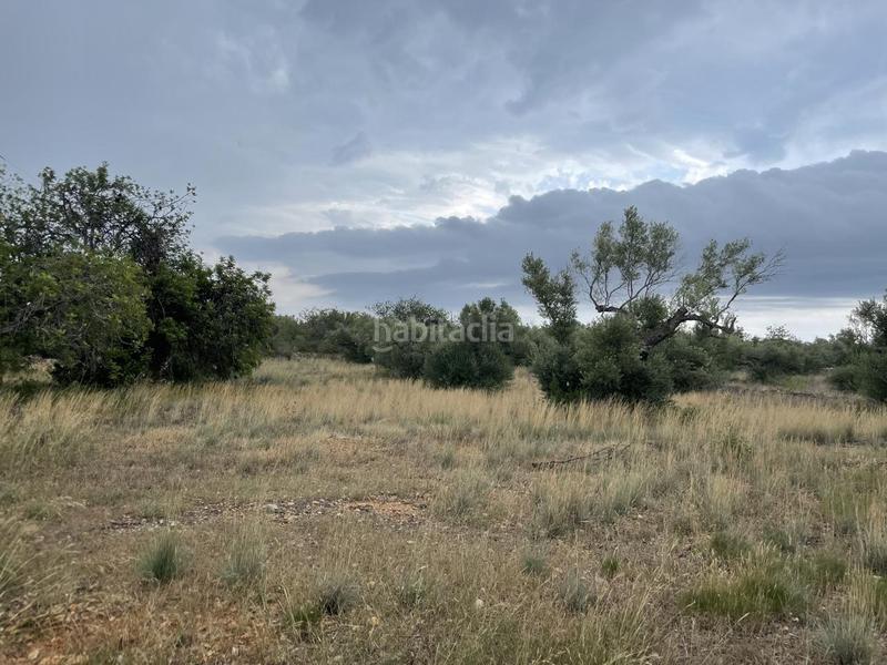 Foto f45ce8b9-0bf8-4049-8dc8-d5cdb5d11af1. Masia a Perelló (El)