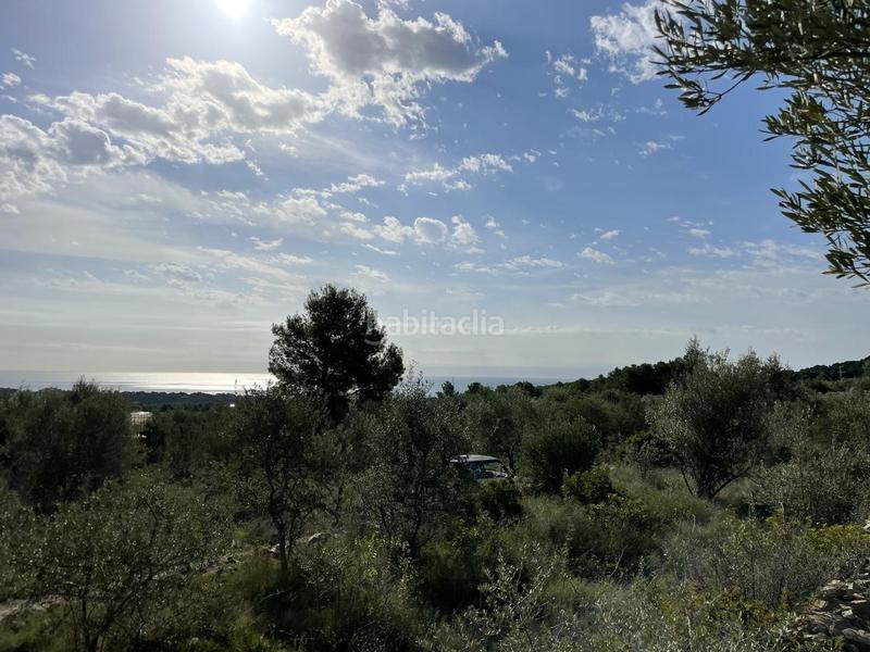 Foto 0dbe6b53-e9b1-422b-bbc9-b8716fcb67ba. Rural plot in Roques Daurades-L´Estany Ametlla de Mar (L´)