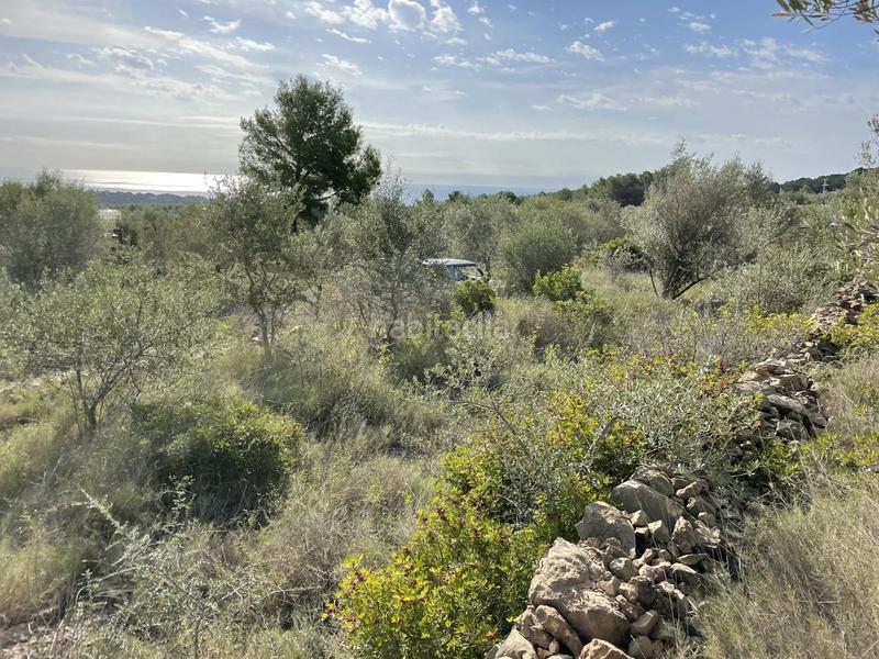 Foto 1ba51f8f-841c-41b9-8829-56a73619134c. Rural plot in Roques Daurades-L´Estany Ametlla de Mar (L´)